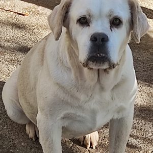 380260042384733 Berta