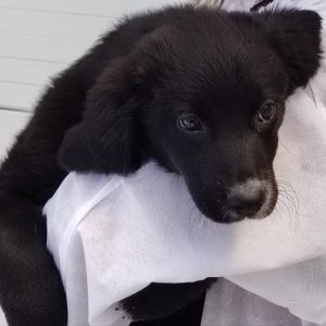 380260102419366 blaky