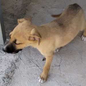 380260102427064 benny