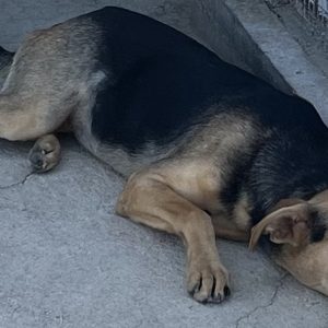 380260102622449 Tina