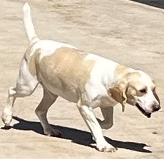 380260170128879 Paco