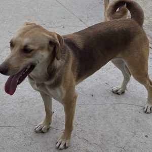380260110106235 Linda