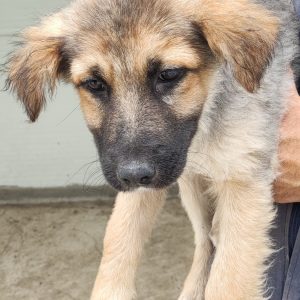 380260102427144 Betty