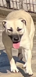 380260102419499 Bella