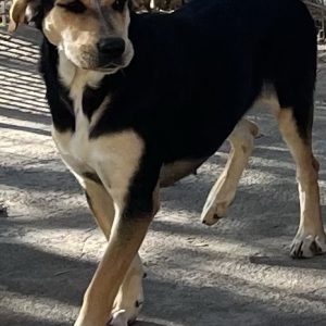 380260102791131 Megan