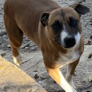 380260102421027 Frida