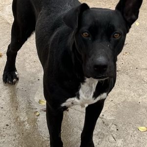 380260102825334 Gemma