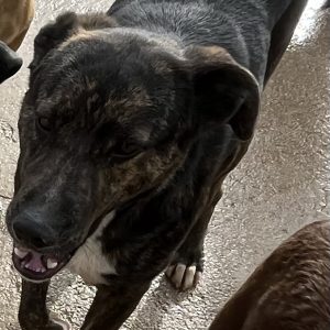 380260102824989 Cindy