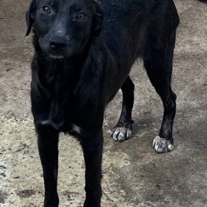 380260102622377 Irma