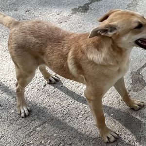 380260102799158 Teresina