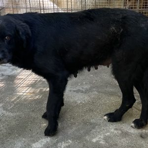 380260102925575 Tina