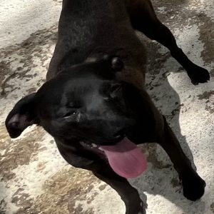 380260102824909 Sara