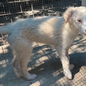 380260102928844 Arya