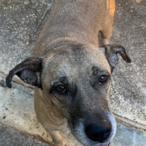 380260170089832  Lucky