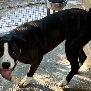 380260170128857 Billy