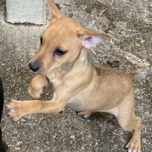 380260102904826 Nora