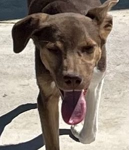 380260102926509 Billy