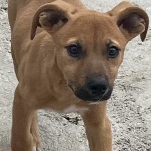 380260103045452 Sally
